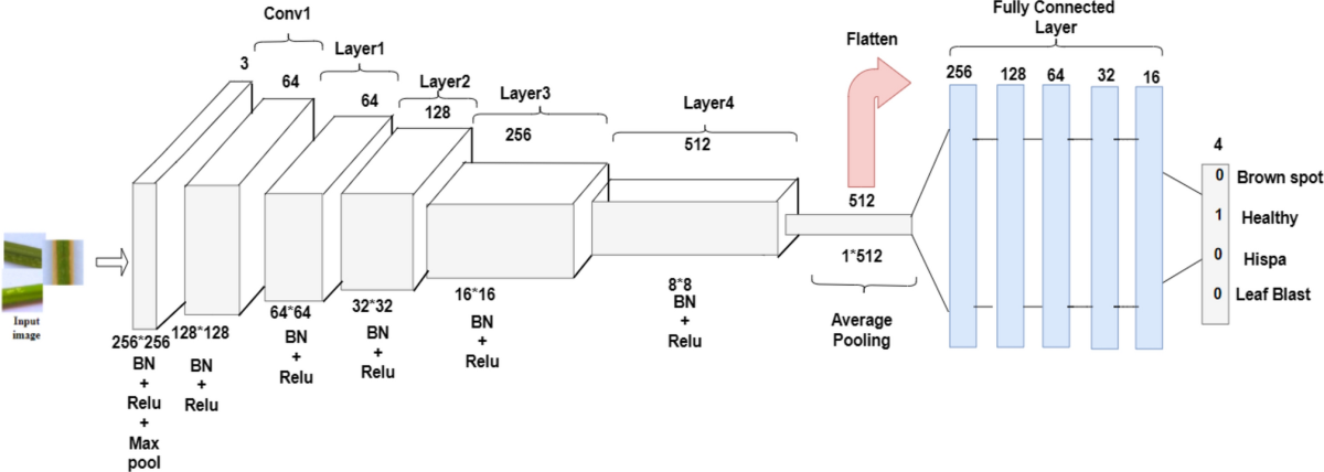 Resnet Cat Image 🐱 How AI Sees Cats - NETRUNNER LOGS